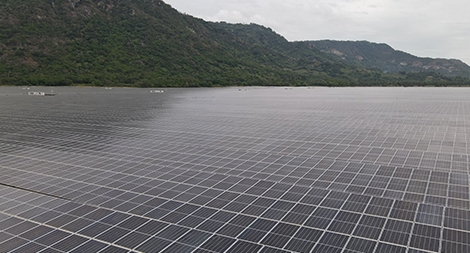 Sao Mai có thêm 1.000 tỷ doanh thu/năm  từ điện mặt trời